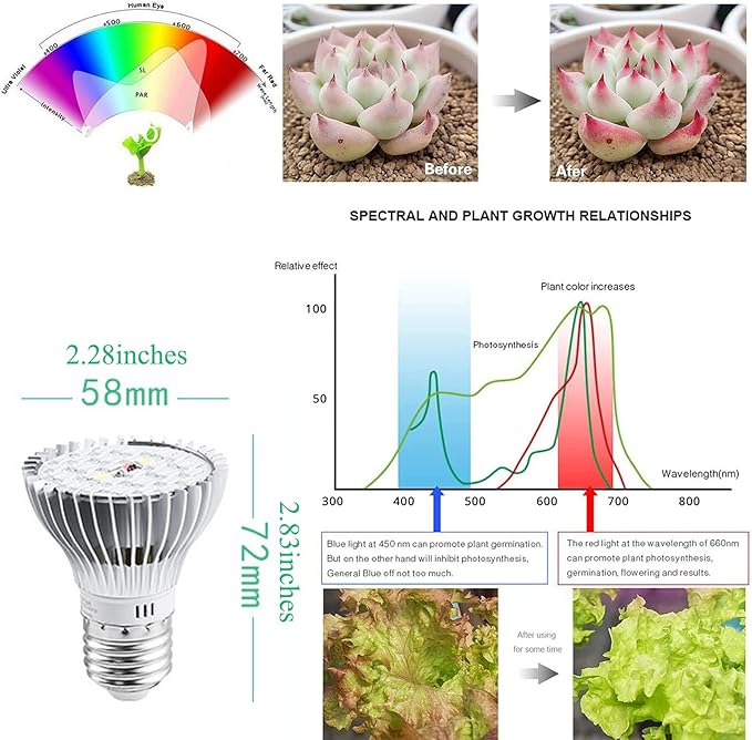 30W Full Spectrum Led Plant Grow Light Bulb E26 Plant Lights LED Plant Light Bulb for Indoor Plants Vegetables Hydroponics Indoor Garden Greenhouse and Organic Soil E26/E27 Base 4-Pack