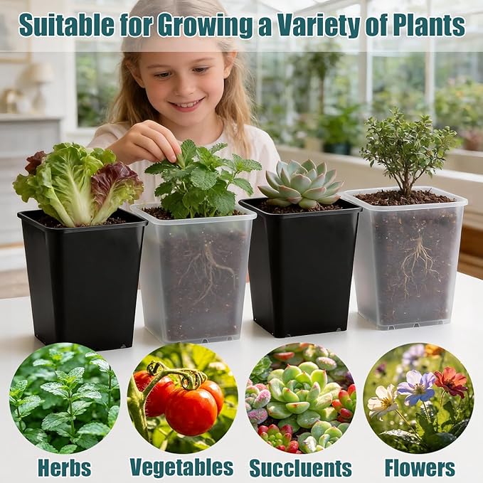 Nursery Pots 6 Inch 40 Pcs Plastic Seed Starting Pot with Drainage Holes Sturdy Seedling pots for Planting Cuttings Clear