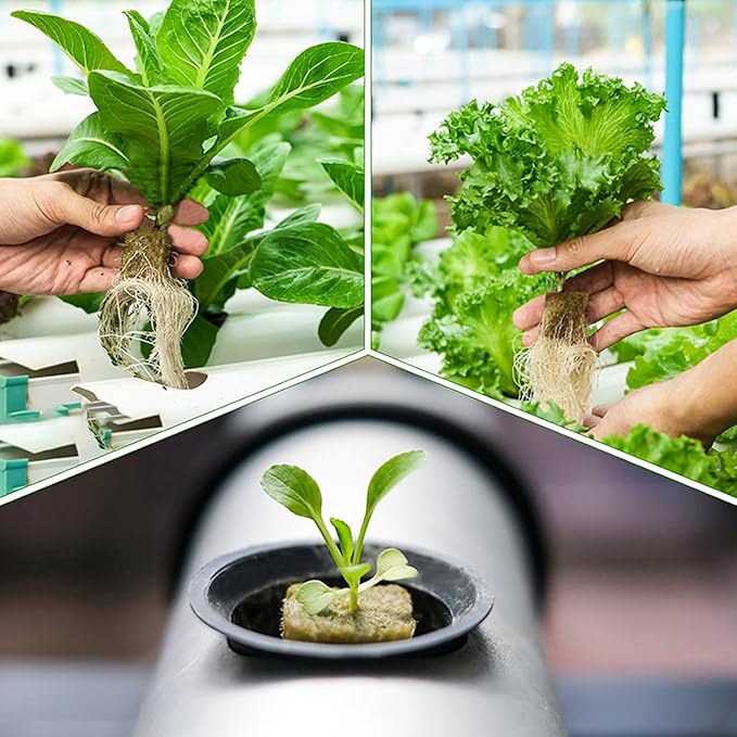 Rock Wool Hydroponic Grow Media Cubes Garden Seedling Block Water Cultivation Seeding Sowing Germination Culture Substrate