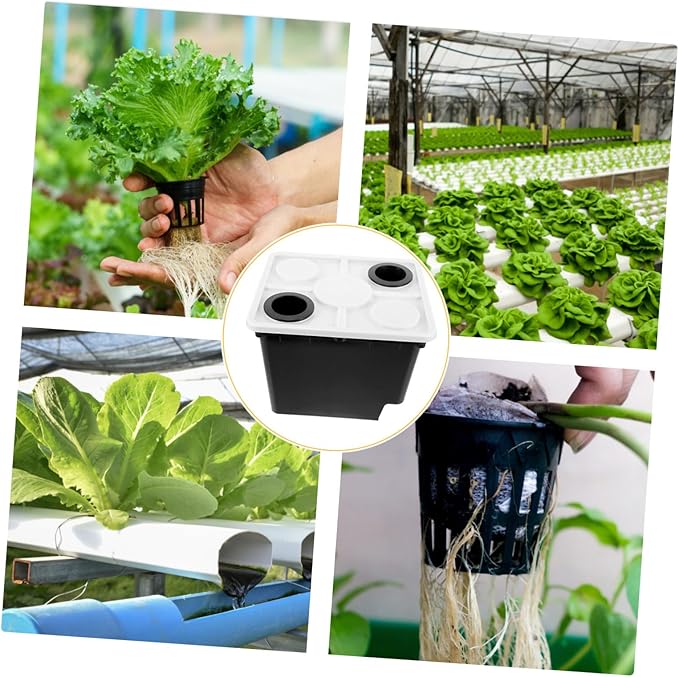 Plastic Planting Basket Cultivation Buckets for Cilantro Hydroponic Plants Bucket Black 2 Hole Covers Suitable for Home Garden