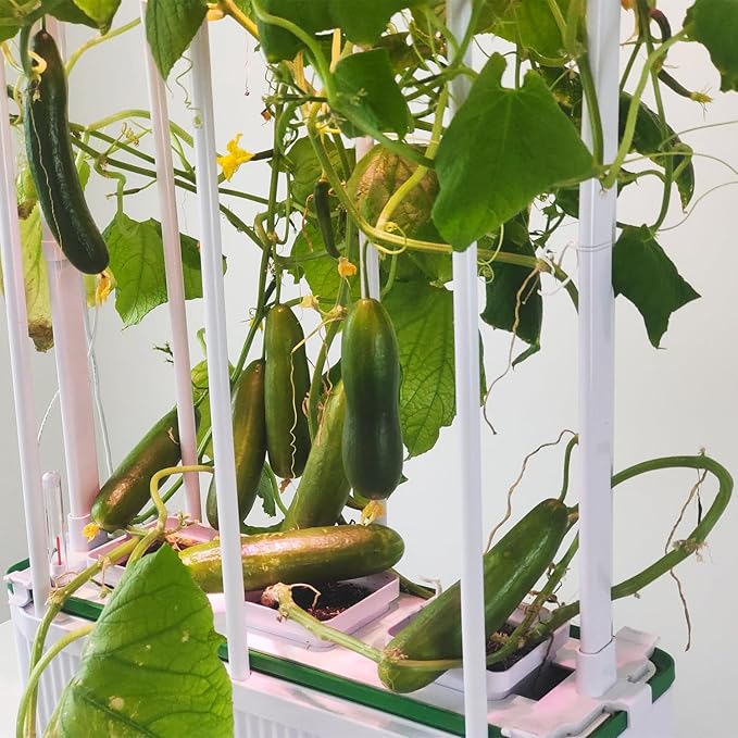 Large Hydroponics Growing System kit with TrellisSmart Indoor Hydroponic Gardening System with LED Grow Light Indoor Hydroponic Grow Kit for TomatoPepperCucumbers(7LPump)