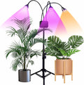 Plant Grow Light with Stand Full Spectrum 60W LED Floor Plant Lamp for Indoor Plants GrowingHeight Adjustable Plant Lamp Timer 3/9/12H