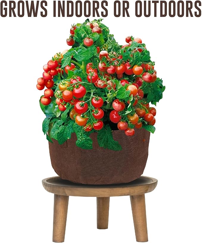 MAUI MIKE'S - Indoor Cherry Tomato Seed Grow Kit- Jiffy 7's Starter Soil Wafers - 5 Gallon Soft Pot Grow Bag- Step by Step Instructions - Grows Indoors or Outdoors - Non GMO Seeds- Makes a Great Gift.