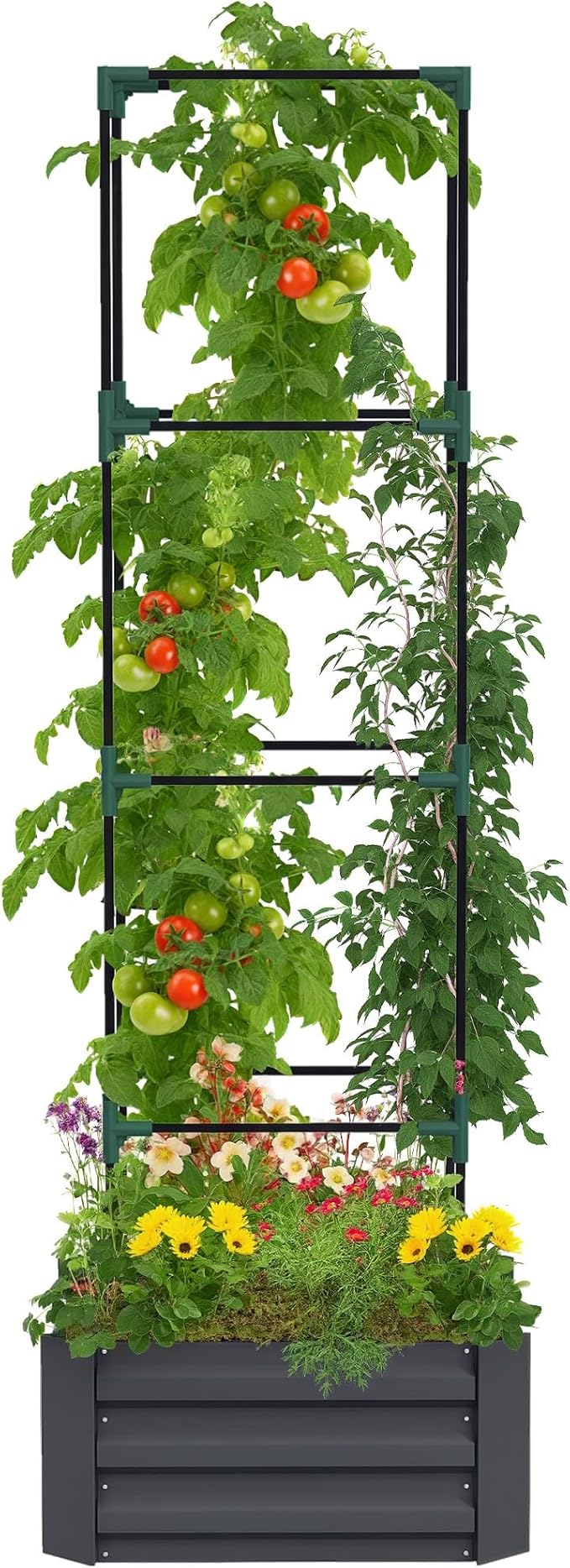 Outsunny Galvanized Raised Garden Bed 73.5 Tall Outdoor Planter Box with Trellis Tomato Cage and Open Bottom for Climbing Vines Vegetables Flowers in Backyard Garden Patio Dark Gray