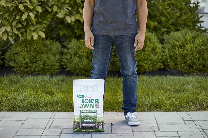 Scotts Turf Builder Thick'R Lawn Tall Fescue Mix Combination Seed Fertilizer and Soil Improver Thickens Thin Grass 12 lbs. (2-Pack)