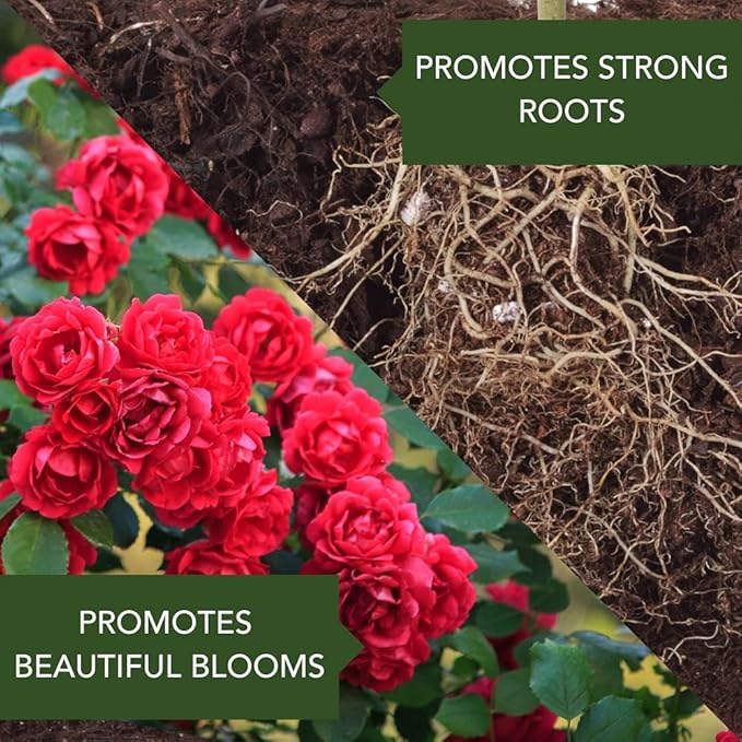 BioAdvanced All-In-One Rose and Flower Care I Granules 4 lb