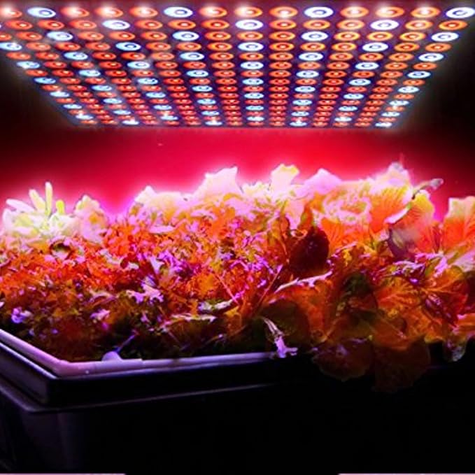 HQRP 225 LED Grow Light Panel 45W Red &amp Blue 12 Square Lamp for Growing Indoor Plants Fruits Flowers Vegetables Indoor Garden Hydroponic Plant Grow Light with Hanging Kit