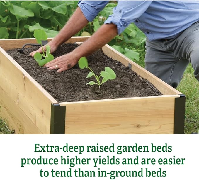 Gardener's Supply Company Raised Garden Bed | Outdoor Cedar Planter Box w/Extra Deep Height for Rooted Plants Herbs Flowerbed &amp Vegetable Garden Wooden Box | 2' W x 3' L x 14 H