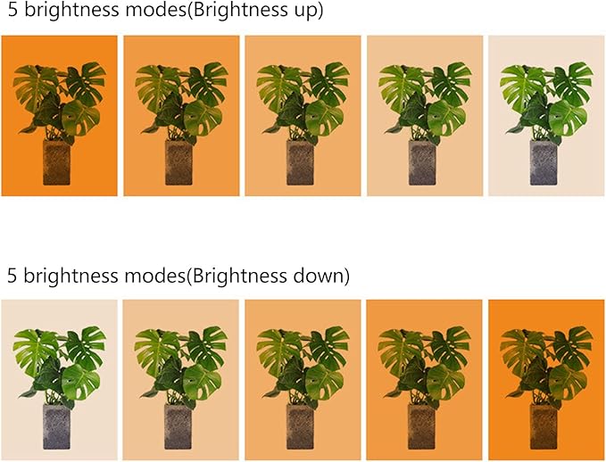 flexman LED Plant Growing Lamp 4 Heads USB Plug Dimmable Timer Full Spectrum Grow Light for Indoor Succulent Potted Plant Green House Hydroponics (Sun Light 4000K 168LEDs)