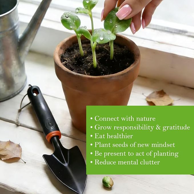 Garden Tools Set for Women Indoor Beginner Gardening Hand Tool Gift SetsGardening Starter Essentials kit Supplies