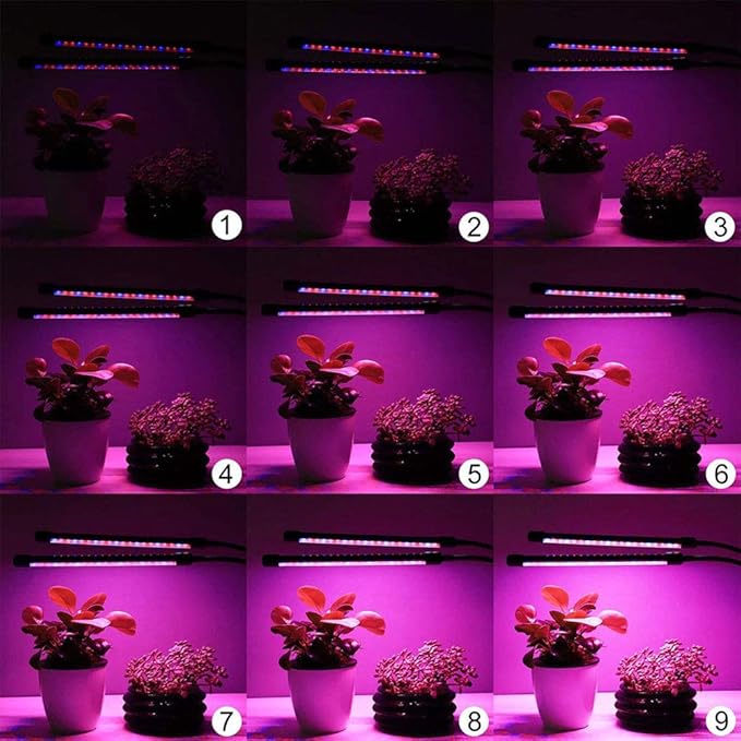 Timer Dual Head LED Plant Grow Light 10W 30LED 9 Dimmable Levels Grow Lamp Bulbs with Adjustable 360 Degree Gooseneck for Indoor Plants Hydroponics Greenhouse Garden Home Office