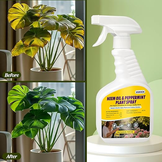 2 Pack Neem Oil &amp Peppermint Plant Spray – Natural Leaf Shine with Natural Essential Oils for Indoor &amp Outdoor UseSimple Ready-to-Use Plant Spray for Gardens Houseplants- 32oz