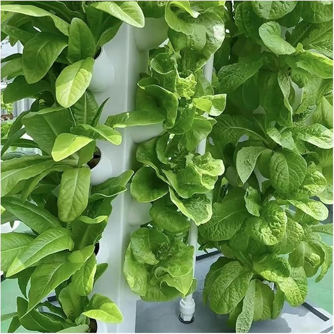 Hydroponic Tower Growing Sytem Hydroponic Tower Growing Sytem Indoor Vertical Hydroponics Tower Gardeeroponic Growing Kit Planting Fr