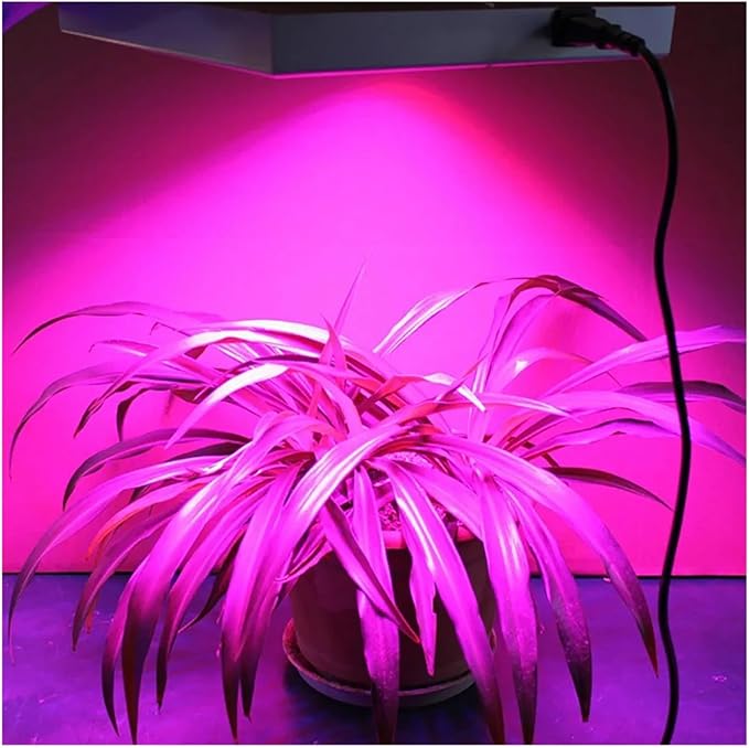 2pcs AC220V 10W 20W 30W 50W LED Grow COB Chip Phyto Lamp Full Spectrum for Indoor Plant Seedling Grow and Flower Growth Lighting DIY(Full Spectrum_20W 60X40MM)