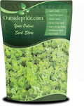 Outsidepride Perennial Clover King Seed Mix - 10 lbs Nitrocoated Inoculated Heat &amp Cold Tolerant Alfalfa-Enhanced Food Plot Seeds for Deer &amp Wildlife Ideal for Spring Summer &amp Winter