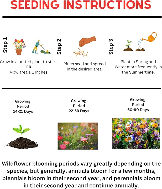 Micro Clover - (1LB) Nitro-Coated 240000 Total Seed - Covers Up to 1600 Sqft! Transform Your Lawn with Seeds That are Eco-Friendly Low Maintenance and Drought-Tolerant.