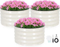 INNO STAG 3 Pcs Round Galvanized Raised Garden Bed — 2×2×1ft Planter Box Outdoor Raised Beds Kit for Gardening Vegetables Fruits Herbs and Flowers White