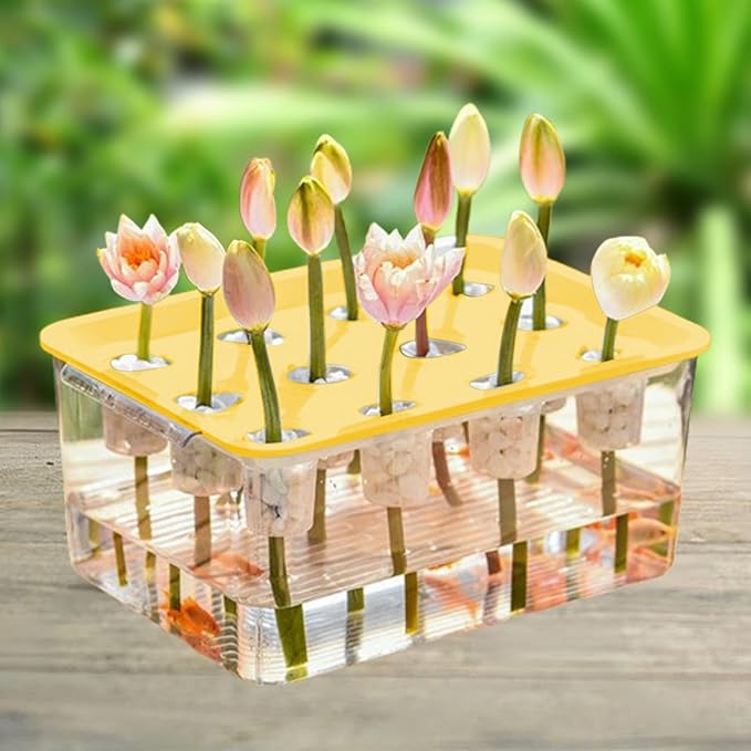 Indoor Hydroponics Tool Hydroponic System Growing Kit Microgreens Growing Kit for Indoor Yellow Lid