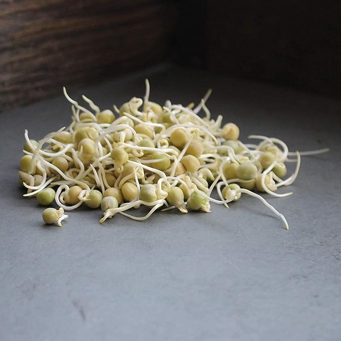 Green Pea Sprouting Seed - 2.5 Lb - Handy Pantry Brand - Green Pea for Sprouts Garden Planting Cooking Soup Emergency Food Storage Vegetable Gardening