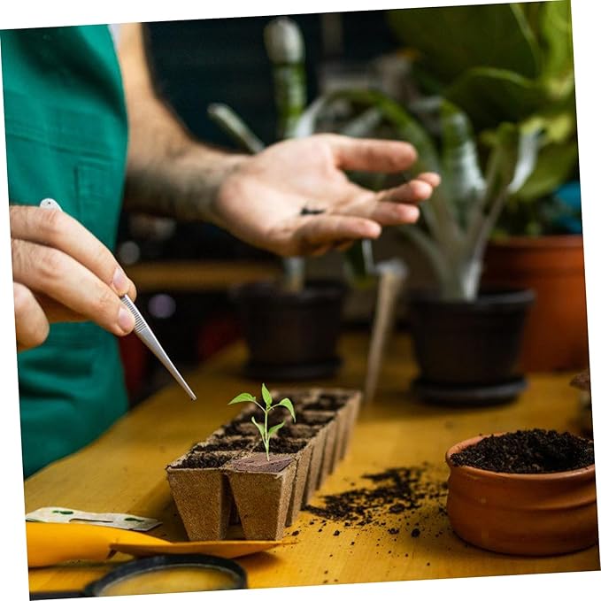 BESPORTBLE 200pcs Grow Cubes Starter Plugs for Soilless Cultivation Water Absorbent Hydroponic Planting Blocks for Vegetables Flowers Indoor Gardens