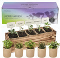 5 Herb Garden Kit with Wooden Box - Including Basil Thyme Parsley Rosemary Mint - Windowsill Herb Garden for Kitchen Gardening Gifts for Mom Women Men Gift Ideas for Birthday Housewarming