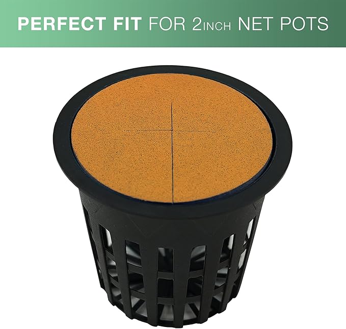 2” Neoprene Foam Inserts for Hydroponics Growing System Clone Machine Propagation Indoor Gardening 100 Pack Orange