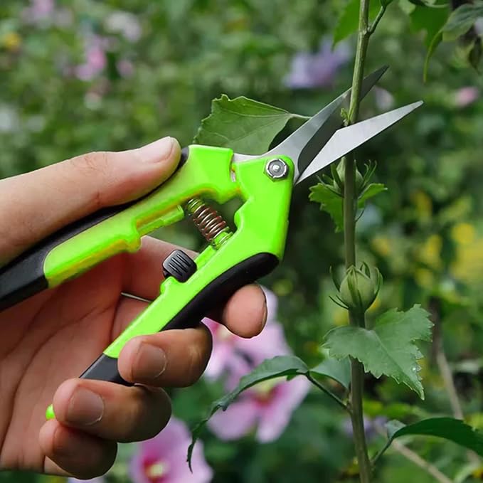 Garden Tool Set with Tote Bag 9-Piece Aluminum Hand Tools Including Pruning Shears Spade Rake &amp Gloves for Digging Weeding &amp Transplanting