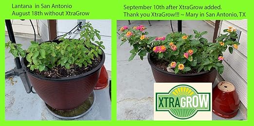 Premium Organic Plant Food