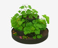 Dirt Locker Harvest Locker™ – Modular Stackable Raised Garden Bed Water-efficient Keyhole Planter &amp Compost‑Ready Harvest System