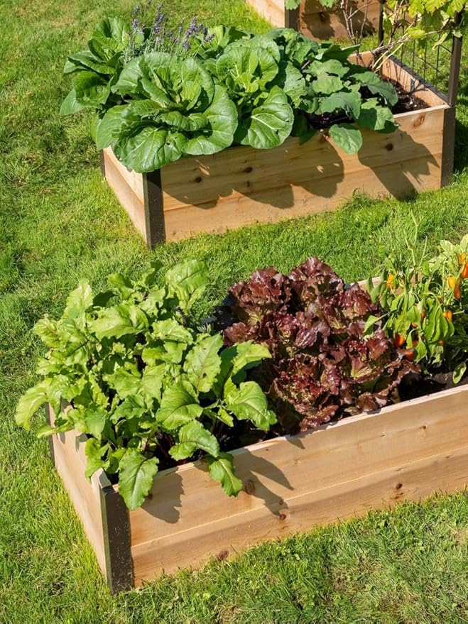 Gardener's Supply Company Raised Garden Bed | Outdoor Cedar Planter Box w/Extra Deep Height for Rooted Plants Herbs Flowerbed &amp Vegetable Garden Wooden Box | 2' W x 8' L x 14 H