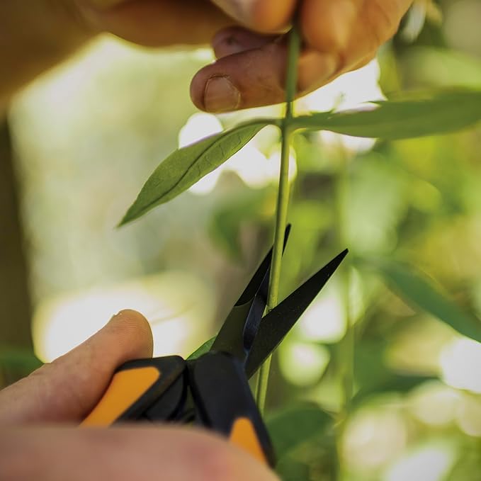 Fiskars 6 Pruning Scissors (2-Pack) for Flowers Buds Weeds and Small Plants Garden Snips with Resin Resistant Nonstick Stainless Steel Blades Gardening Trimmers with Comfortable Handle