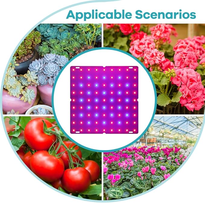 2Pack 200W Indoor Seedings Cultivation Plant Lights AC100-277V Hydroponic Planting Panel Lights UV/IR Greenhouse Tent Succulent Vegs Potting Flowers Fruits Cactus Moss Filling Lights US Plug