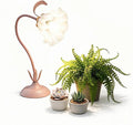 Table Top Grow Light for Indoor Plants – Decorative Desk Plant Light for Succulents Bonsai Cactus Adjustable Desktop Grow Lights with Base Cute Office Mini Grow Lamp