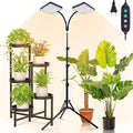 2Head Grow Light with Stand 50 Watt Grow Lights for Indoor Plants Natural Sunlight Full Spectrum Plant Growing Lamps for Tall Houseplants &amp Bonsai Tree 4/8/12/16/20H 5-Mode Timer