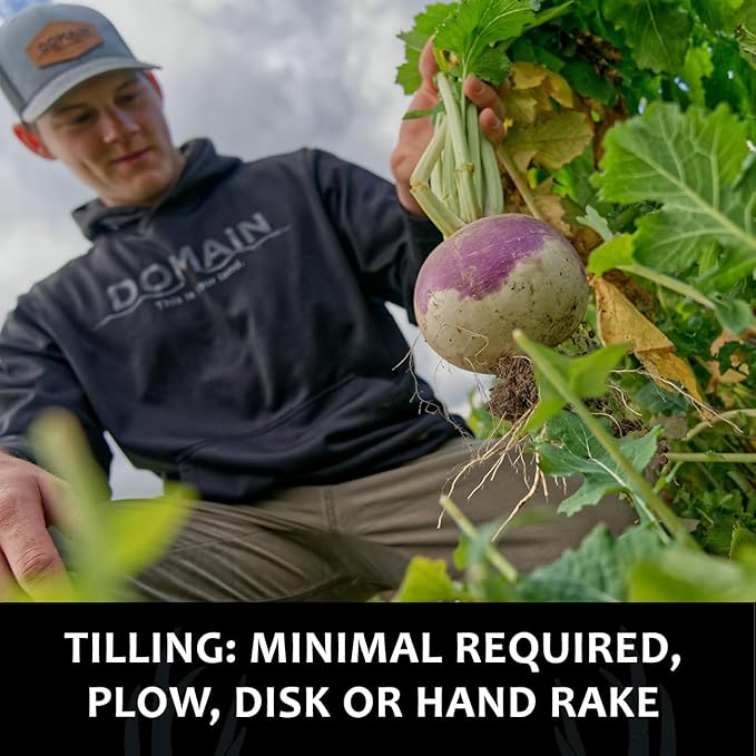 Domain Outdoor Smack Down Food Plot Seed 1/2 Acre Variety of Purple Top Turnip and Forage Turnip Attractive Forages No Matter The Time of The Year High Levels of Protein and Energy Fast to Mature