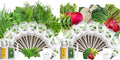 LYKOCLEAN 8 Pods Gourmet Herb Seed Pod Kit and 8 Pods Vegetables Seed Pod Kit Compatible with Aerogarden idoo Ahopegarden Letpot Hydroponics Growing System