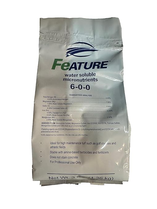 Feature 1 Bag