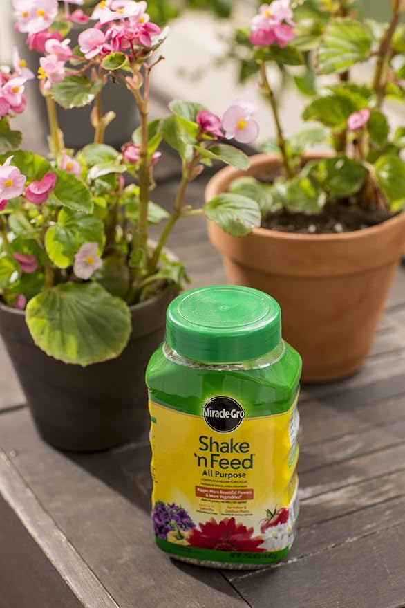 Miracle-Gro Shake 'n Feed All Purpose Continuous Release Plant Food 1-Pound (Slow Release Plant Fertilizer)