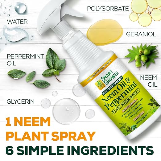 Neem Oil Spray for Plants with Peppermint Oil Natural Plant Wash Made for Indoor and Outdoor Plants Smart Grower 16oz Easy Ready to Use Spray