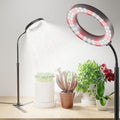 GooingTop Grow Light 50W 6000K LED White Full Spectrum Plant Growing Lamp for Home Office Indoor PlantsAdjustable Height &amp Auto Timer 4 8 12Hrs Ideal for Micro Greens Faster Growth