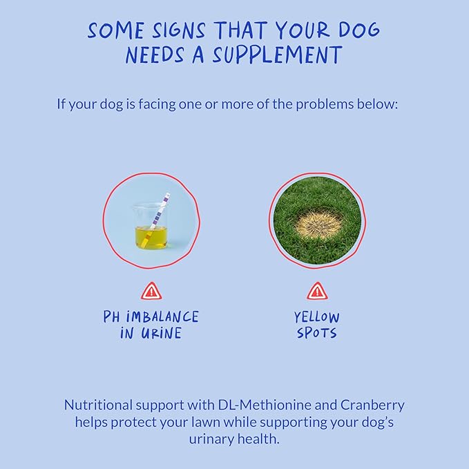 Grass Burn Spot Soft Chews - Pee Grass Spot Saver Caused by Dog Urine - Dog Urine Neutralizer for Lawn with Canine Enzyme Blend Probiotics and Cranberry.
