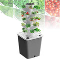 Aeroponics Growing Kit for Herbs Fruits &amp Vegetables - Hydroponic Tower System with 30 Holes Net Pots and Timer for Efficient Indoor Gardening