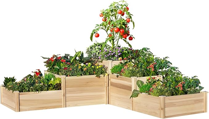 AMERLIFE 3-Tier Raised Garden Bed for Outdoor Gardening Fir Wood Planter Box with Dividers Tool-Free Assembly Garden Box Perfect for Vegetables Herbs and Flowers