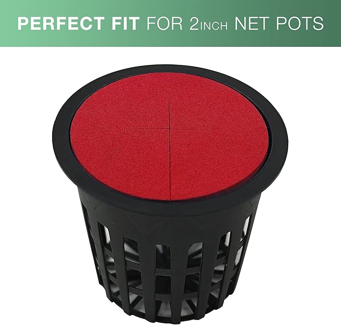 2” Neoprene Foam Inserts for Hydroponics Growing System Clone Machine Propagation Indoor Gardening 100 Pack Red