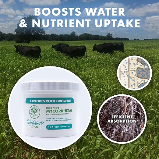 Mycorrhizae 16 Species Inoculant (5 lb) Improves Drought Tolerance + Saves Precious Water + Fertilizer Root Stimulator • Explodes Root Growth [5 lb Treats 96000 (4 inch) Plants]