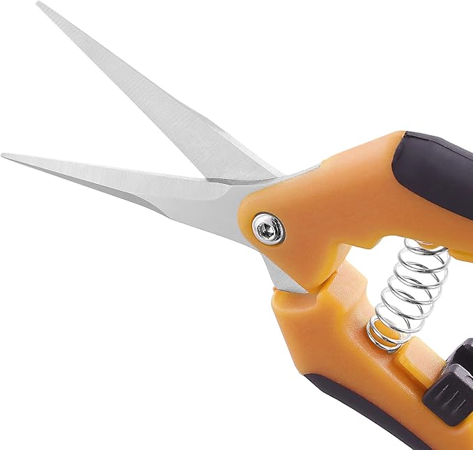 15 PCS 6.5 inch Garden Trimming Scissors Gardening Hand Pruners with Straight Stainless Steel Precision Blades Pruning Shears for Flowers Branches Precise Cuts