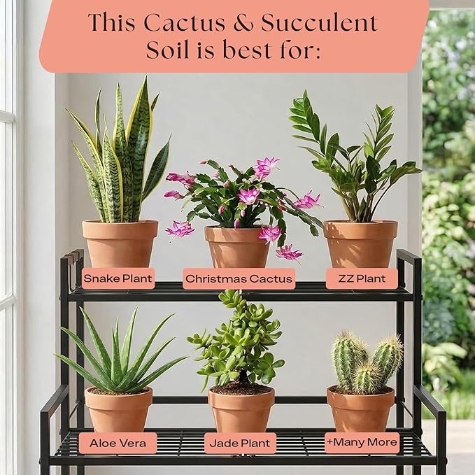 Rosy Soil Cactus and Succulent Potting Soil Mix for Houseplants - Fast Draining Organic Potting Soil for Succulents AloeVera Indoor Plant - Root Boosting for Drought Tolerant Growth Pack of 2