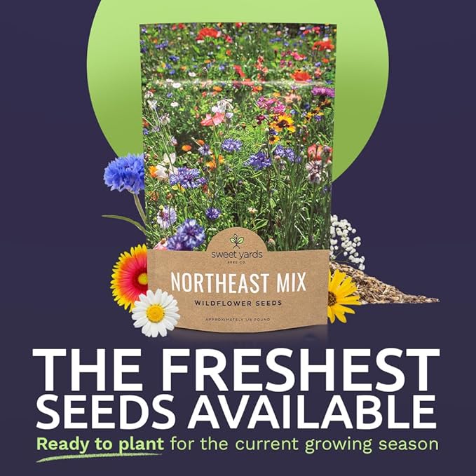 Sweet Yards - Northeast Wildflower Seed Regional Mixes - Bulk 1/4 Pound Bag - Over 30000 Native Seeds - Open Pollinated and Non GMO Varieties for New York Virginia Pennsylvania Maine and More!