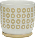 Generic 8 Circles Planter W Saucer White