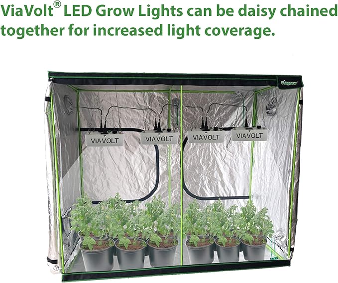 Grow Light 6500K Full Spectrum Cree COB LED 65 Watts12000 Lumens